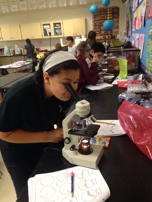 Student working with a microscope